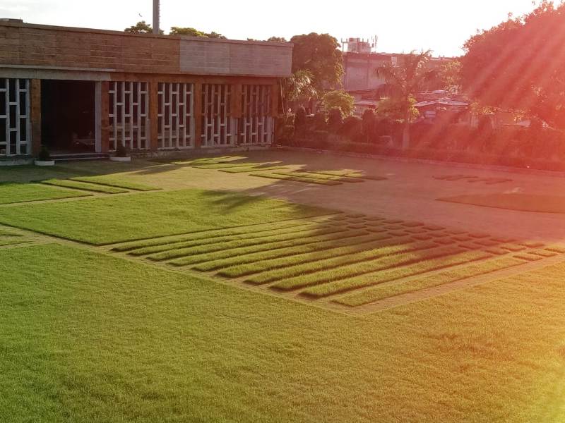 Best Lawn in Kanpur