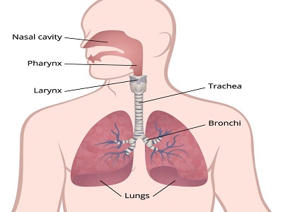 Lung Cancer treatment